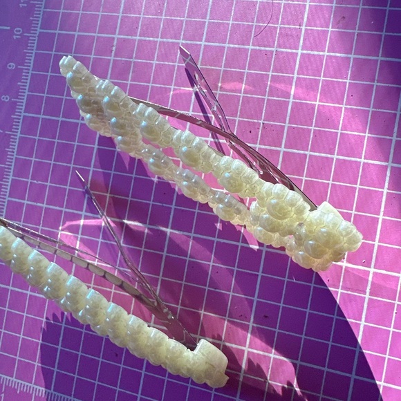 Guess 4 pc hair clips white beads paved tie bow butterfly oval square flowers - Picture 3 of 9